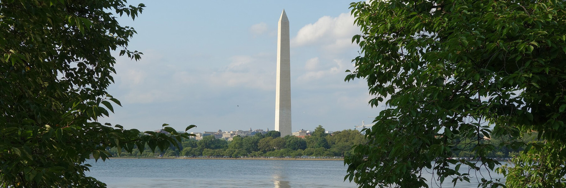 a view of the Washington Monument